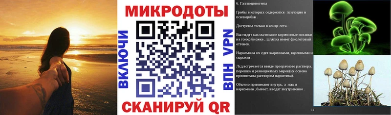 Купить где  Краснозаводск  Галлюциногенные грибы Magic Shrooms 